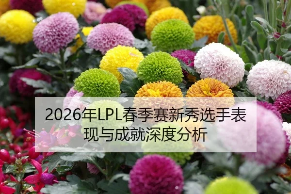 nian-chun-ji-sai-xin-xiu-xuan-shou-biao-xian-yu-cheng-jiu-shen-du-fen-xi-2-114.jpg