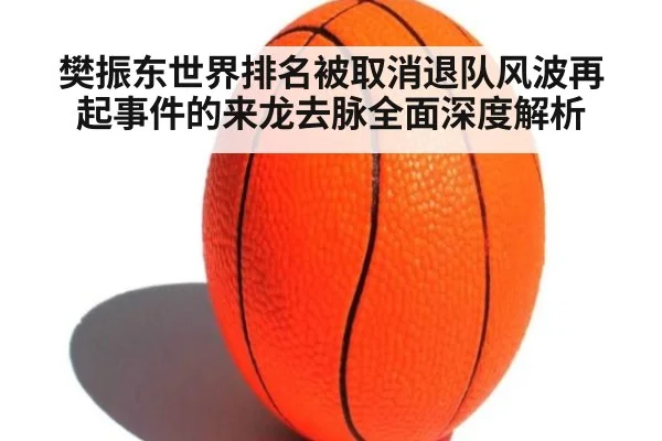 樊振东世界排名被取消退队风波再起事件的来龙去脉全面深度解析